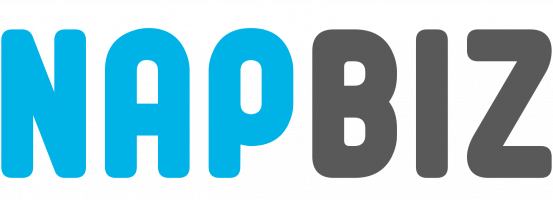 株式会社NAPBIZ