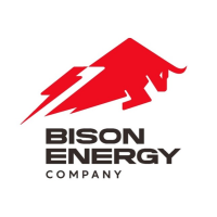 Bison energy株式会社