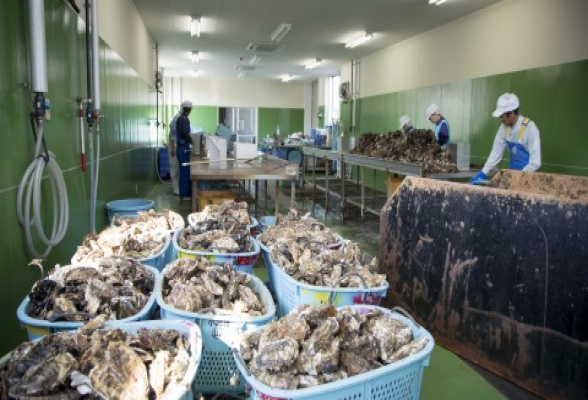 末永海産株式会社
