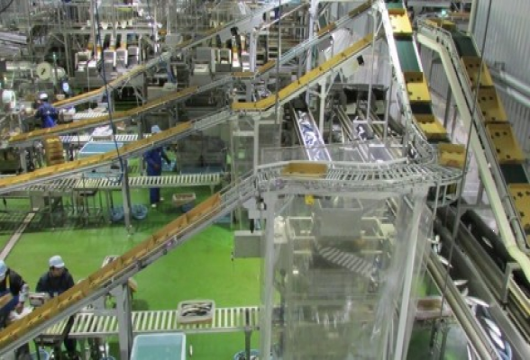 大興水産株式会社1