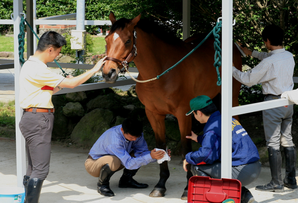 株式会社乗馬クラブクレイン2