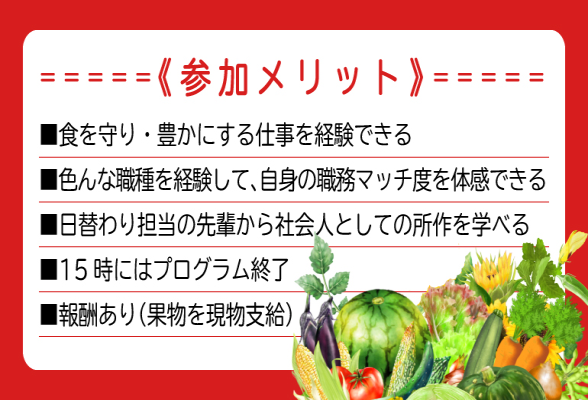 野菜総合商社まるわかりインターン【秋】1