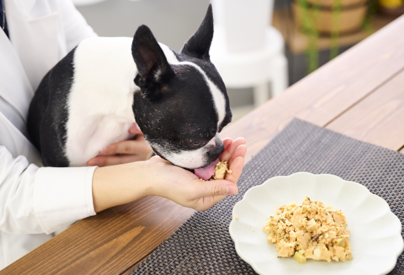 株式会社フェアネス・アンド・カンパニー2