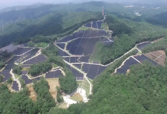 マニエスグループ株式会社3