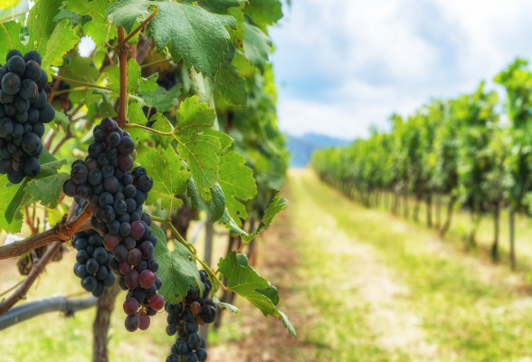 専門商社の1day仕事体験「企画提案営業」1