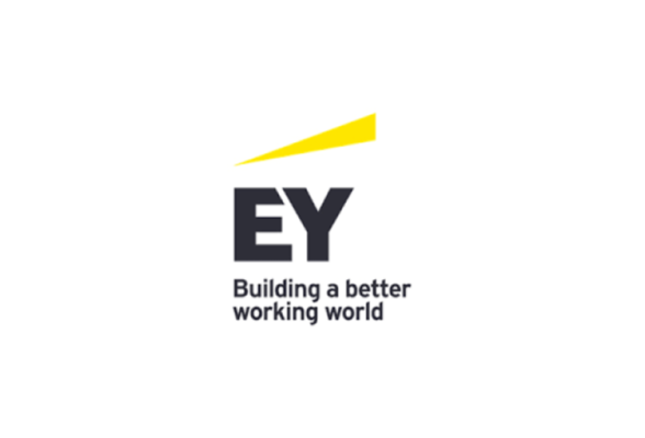 EYストラテジー・アンド・コンサルティング株式会社